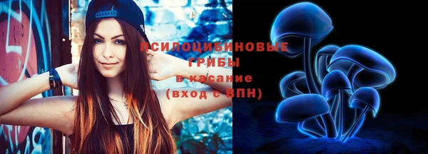ГАЛЛЮЦИНОГЕННЫЕ ГРИБЫ Елабуга