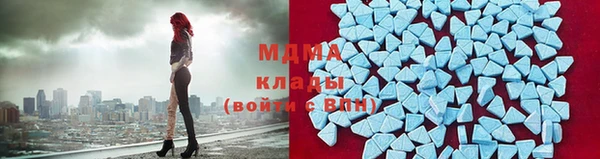 ГАЛЛЮЦИНОГЕННЫЕ ГРИБЫ Елабуга