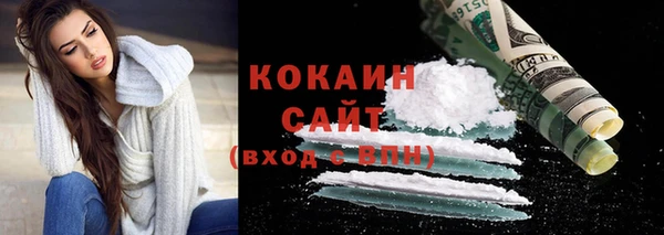 молекула духа Елизово