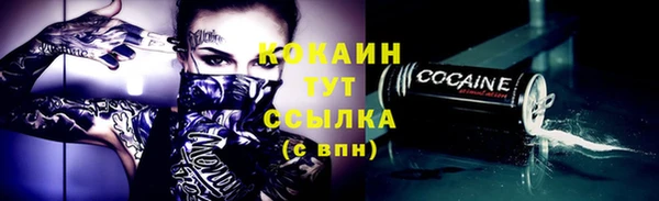молекула духа Елизово