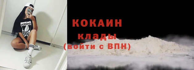 ГАЛЛЮЦИНОГЕННЫЕ ГРИБЫ Елабуга