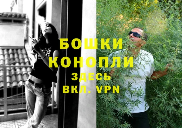 молекула духа Елизово