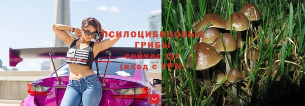 молекула духа Елизово